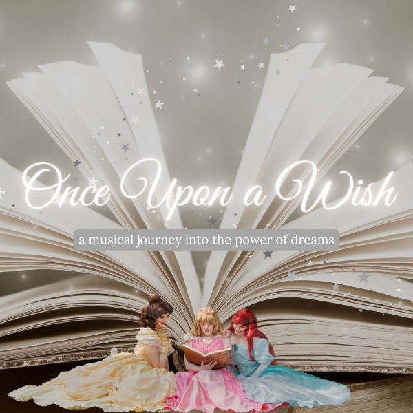 Once Upon a Wish