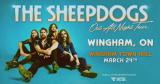 The Sheepdogs: Out All...